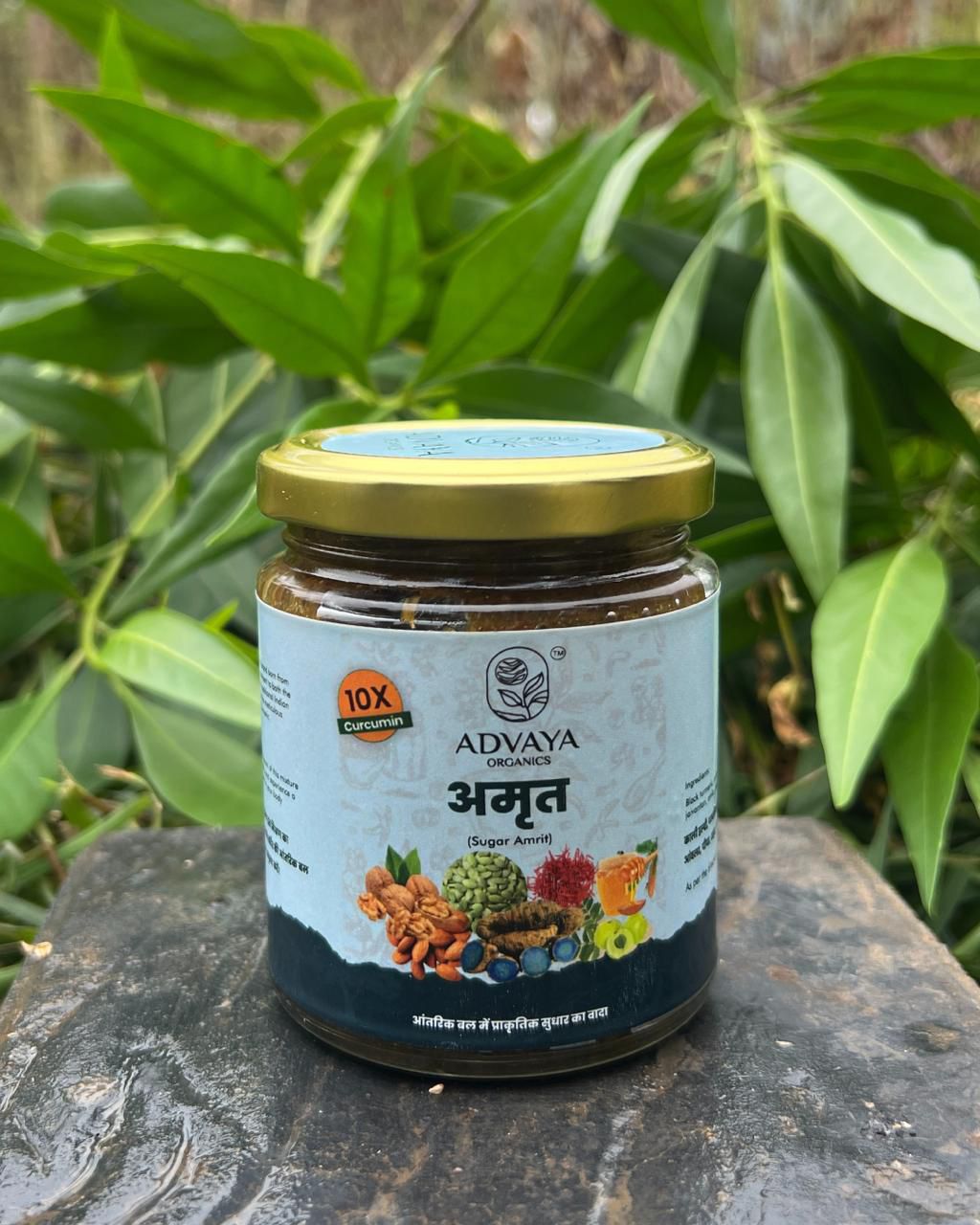 Advaya  Amrit (अमृत)